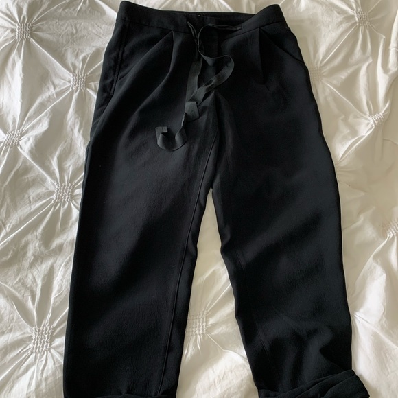 Aritzia Allant pants - Picture 2 of 3